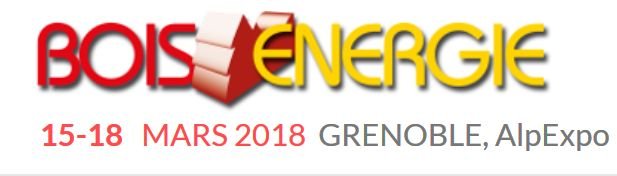 Bois Energie (Wood Energy Expo) 2018 Франция